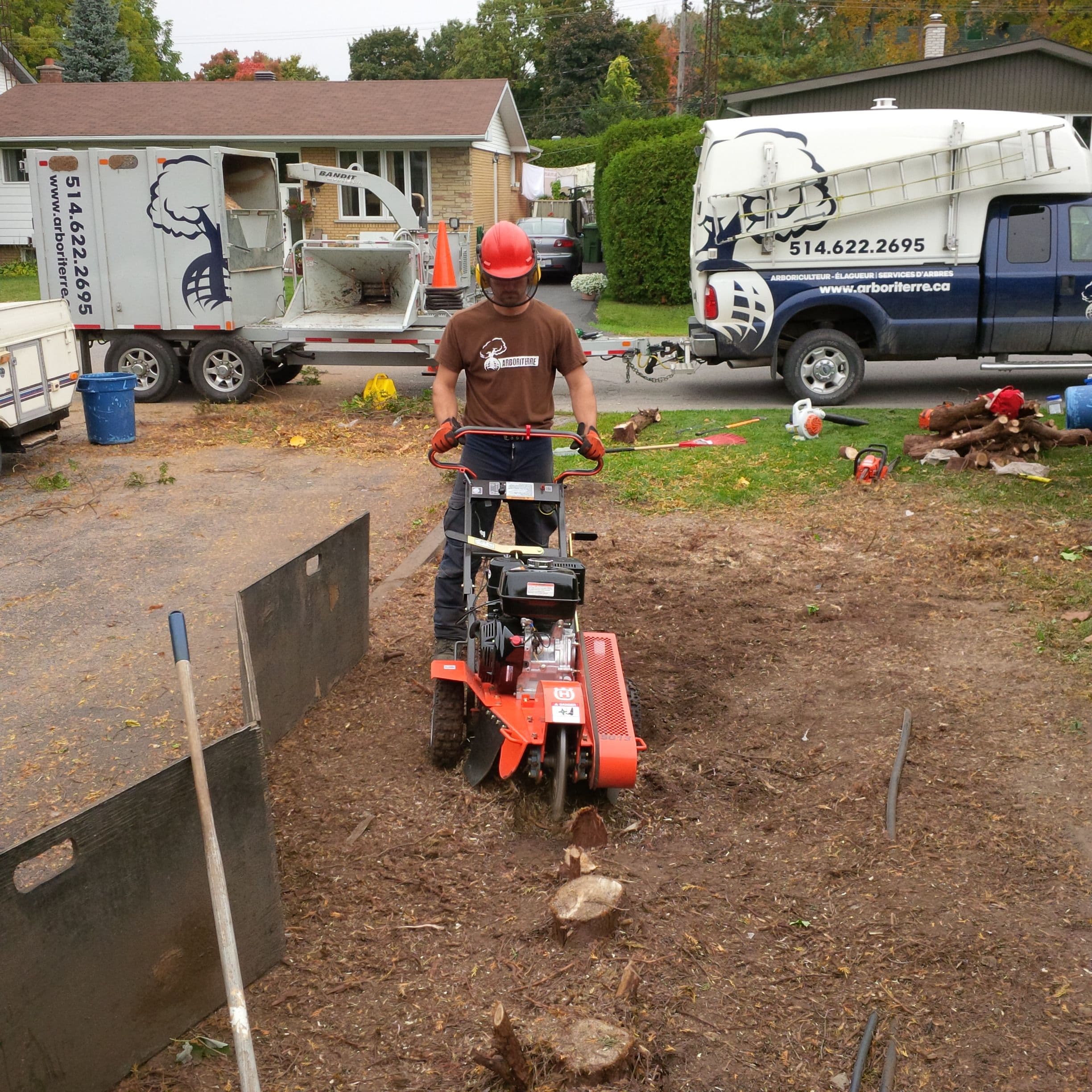 Essouchement en cours.