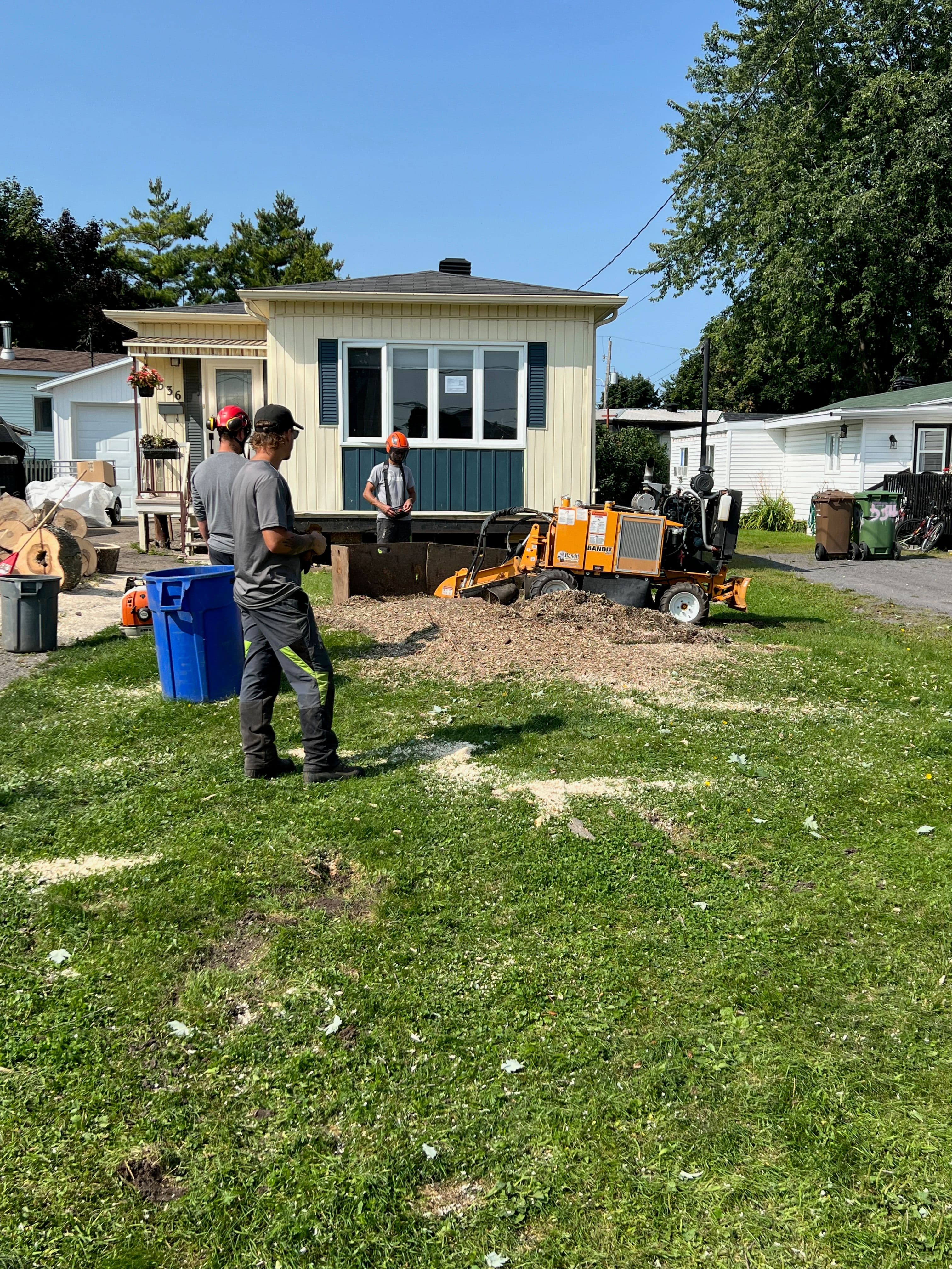 Essouchement en cours.