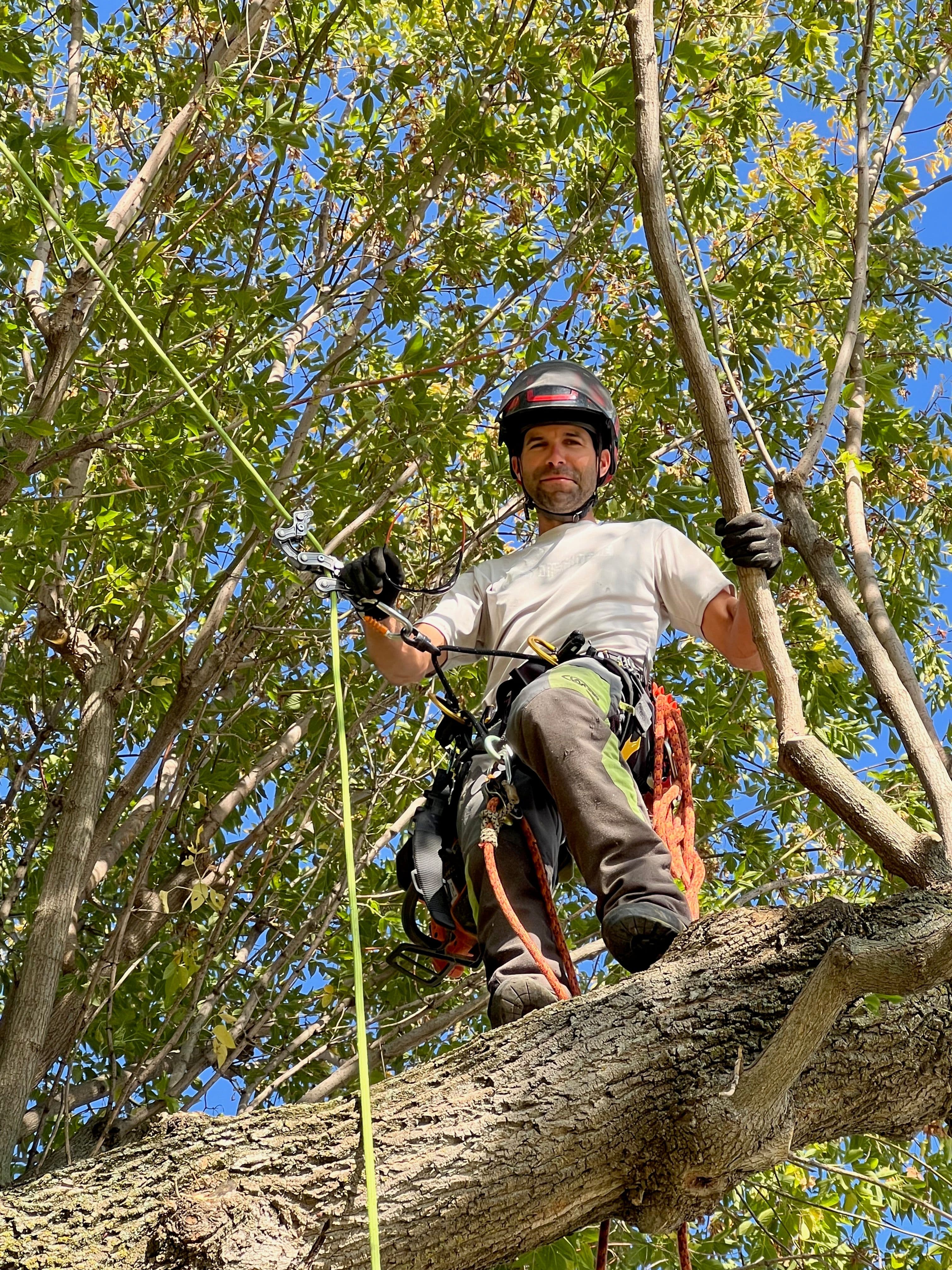 Réalisation Arboriterre 5