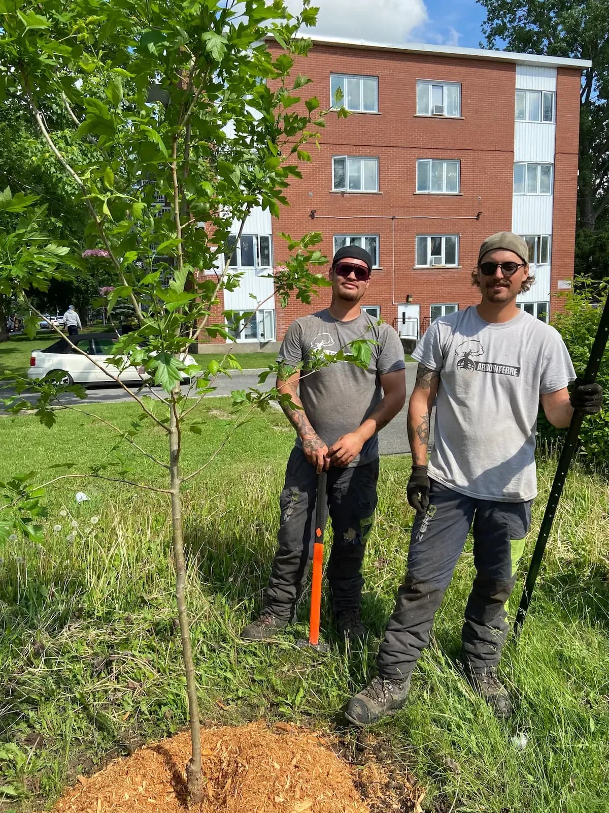 Réalisation Arboriterre 4