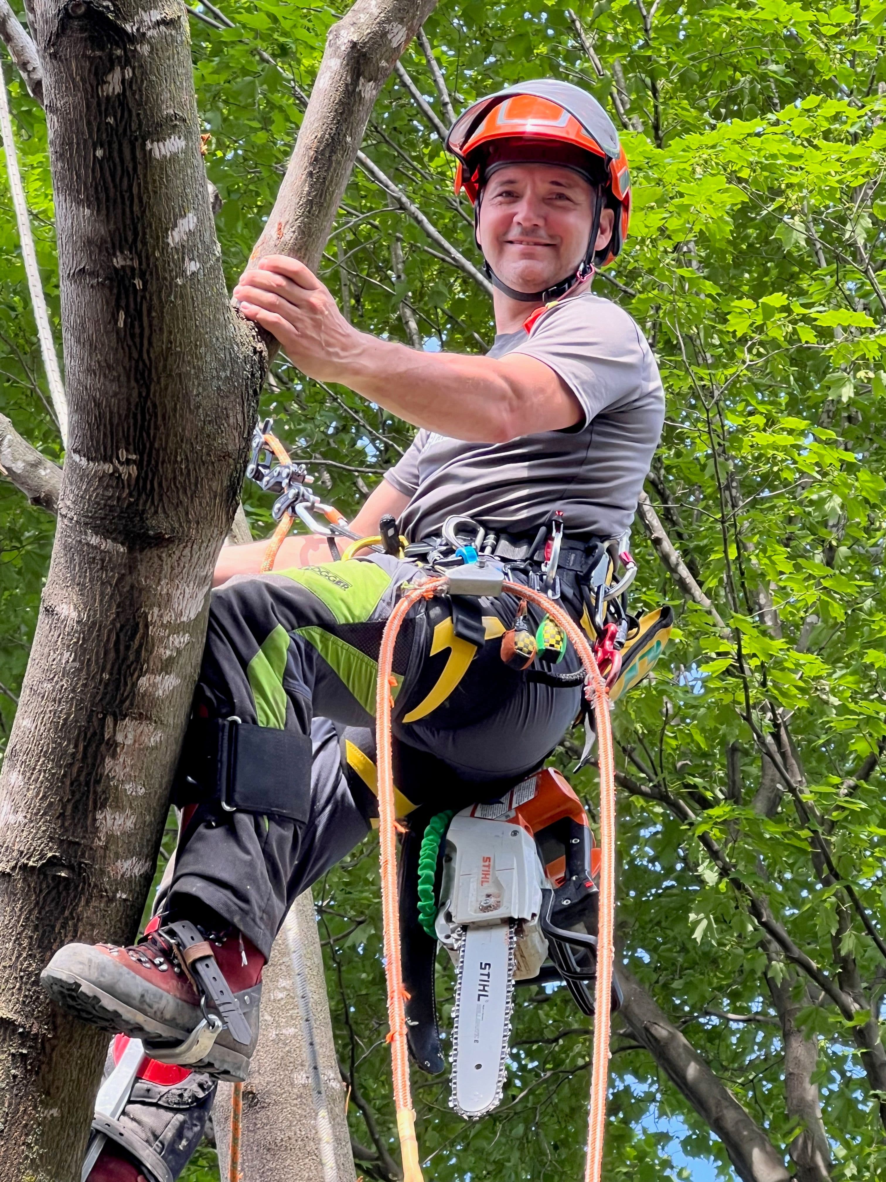 Réalisation Arboriterre 2