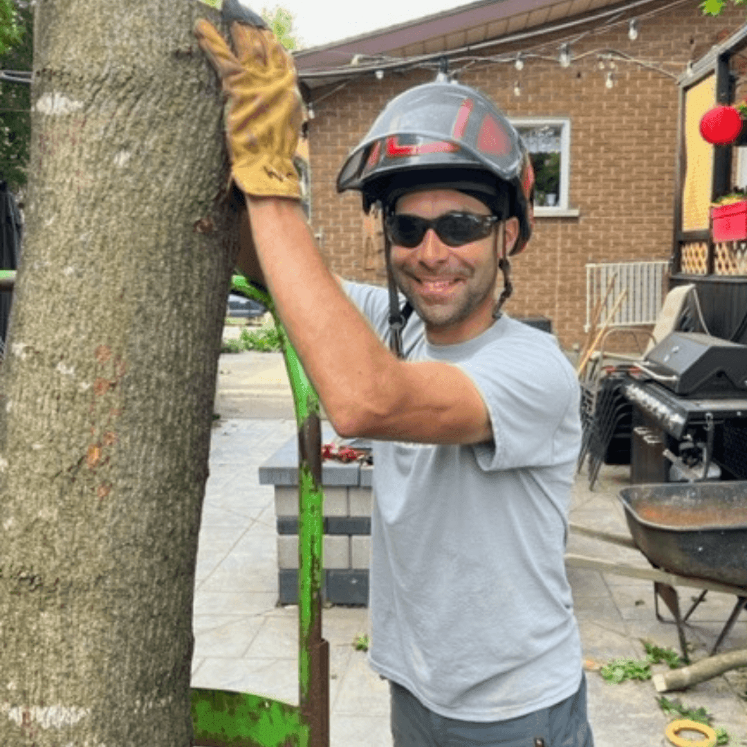 Jean-Michel Montcalm